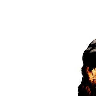 The wolverine HD wallpaper