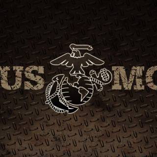 Marsoc marines background
