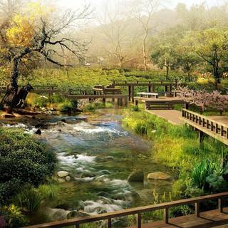 Full HD PC wallpaper nature