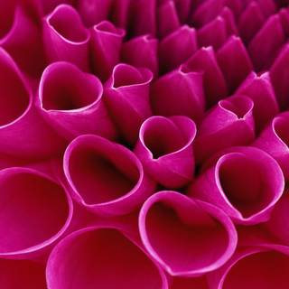 Pink wallpaper for android mobile