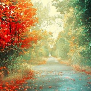 1080 x 1920 wallpaper vertical