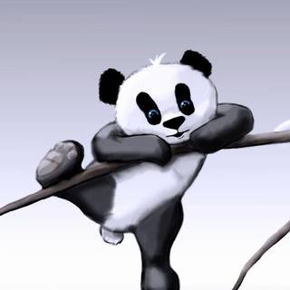 Panda wallpaper love