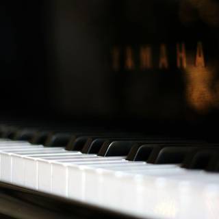 Piano HD wallpaper