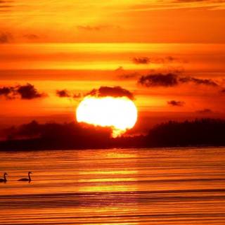 Sunset HD wallpaper 1080p