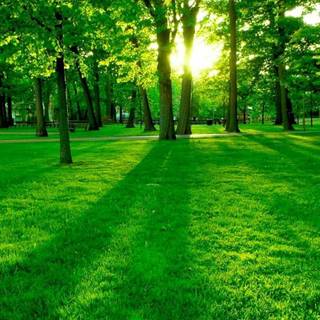 HD wallpaper 1080p nature 3d