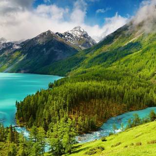 Wallpaper nature 1920x1080