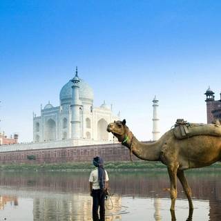 Windows 7 islamic wallpaper high definition