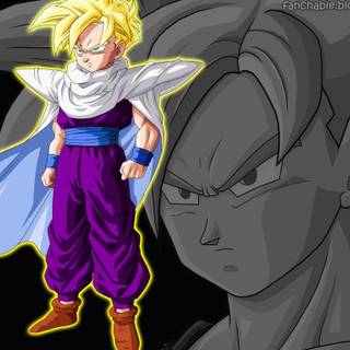Teen gohan wallpaper