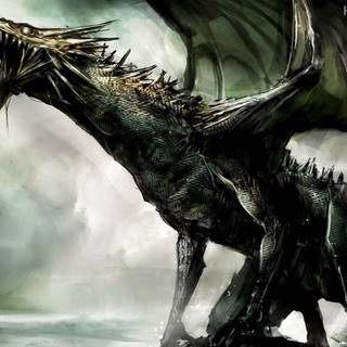 Dark dragon wallpaper widescreen