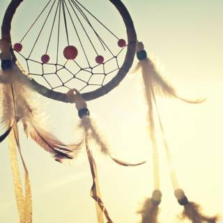 Tumblr wallpaper dreamcatcher