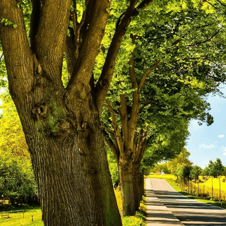 Png wallpaper mobile