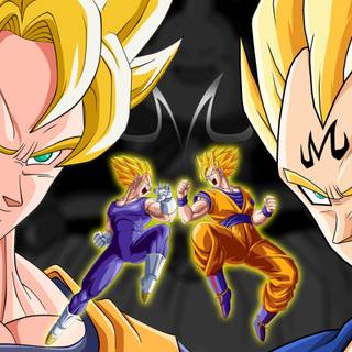 Dragon ball z goku vs vegeta wallpaper