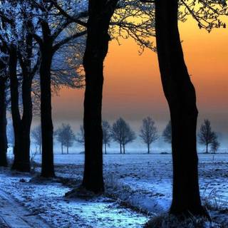 Desktop full HD wallpaper