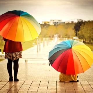Umbrella Background HD