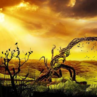 Animation HD wallpaper