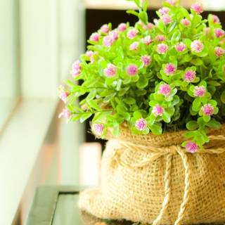 Wallpaper HD for desktop full screen