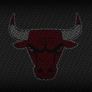 Bulls HD wallpaper