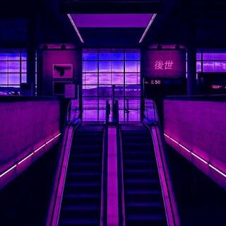 Neon wallpaper panda