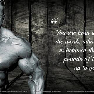 Bodybuilding gym wallpaper