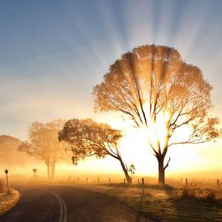 Sunrise wallpaper 1920x1080