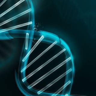 Dna HD wallpaper