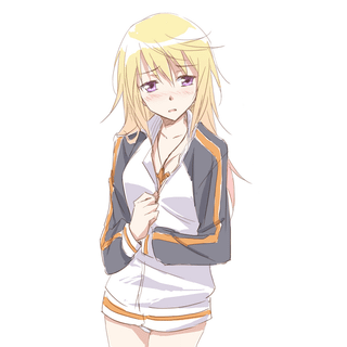 Charlotte dunois wallpaper