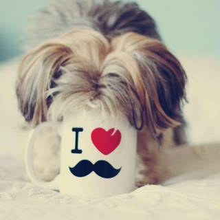 I love mustache wallpaper