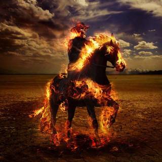 Ghost raider HD wallpaper