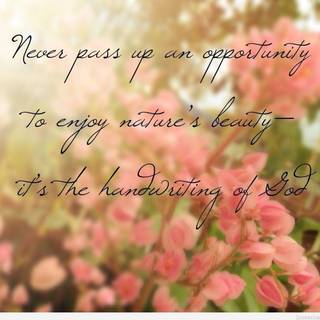 Life is beautiful quotes wallpaper