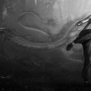 Bruce lee HD mobile wallpaper