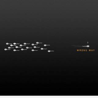 Sarcastic wallpaper quotes