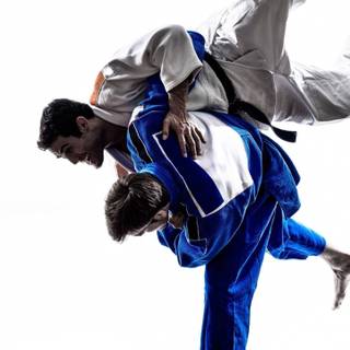 Judo wallpaper