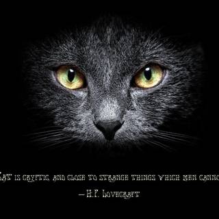 HP Lovecraft wallpaper