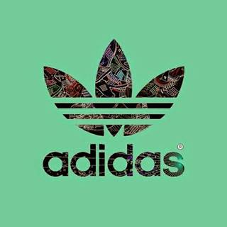 Adidas logo HD wallpaper