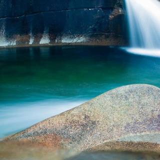 Bing mobile wallpaper