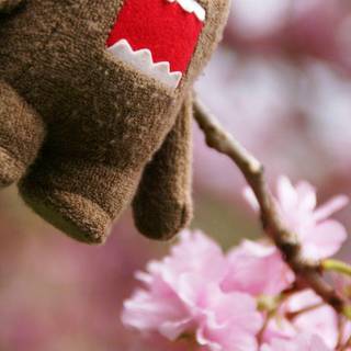 Domo kun wallpaper pink