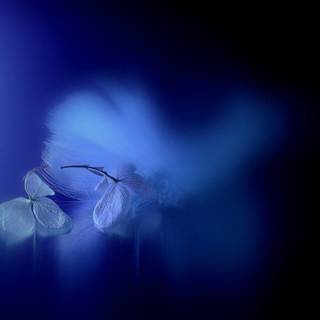 Blue scenery wallpaper