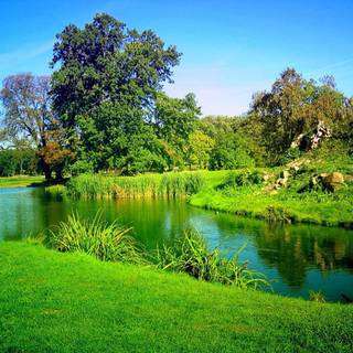 Beautiful nature background HD