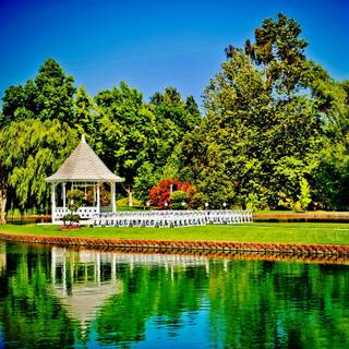 Beautiful nature background HD