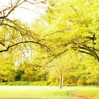 Beautiful nature background HD