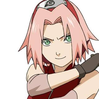 Sakura haruno HD wallpaper