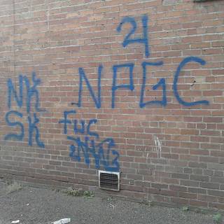 Native pride wallpaper