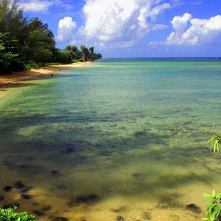 Natural wallpaper HD