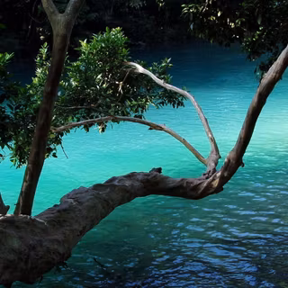 Natural wallpaper HD