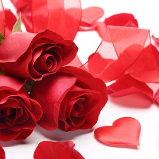Red roses wallpaper heart