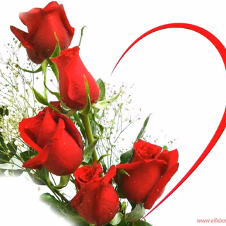 Red roses wallpaper heart