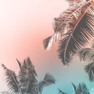 Tropical background