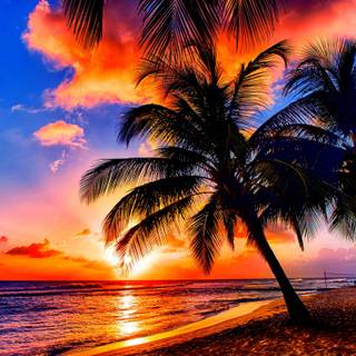 Tropical background