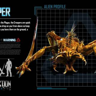 Creeper wallpaper HD