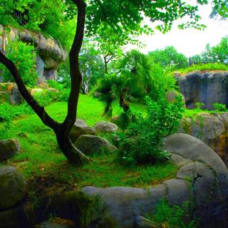 Background wallpaper HD 1080p